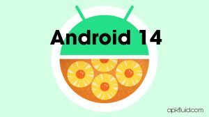 android-14-update-release-date-and-upcoming-features-300x168-5475595